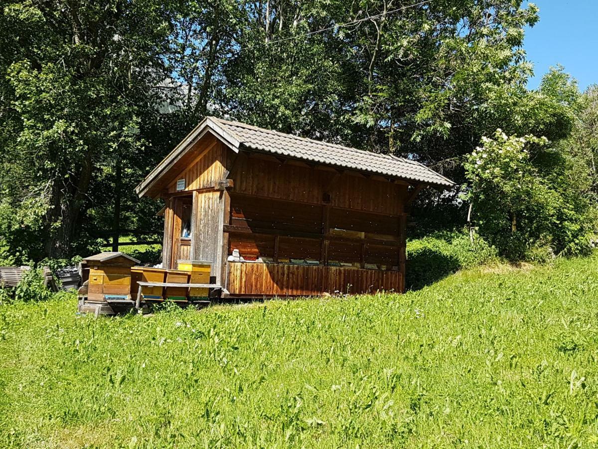 Apartments Nature Apis Landheim Anterselva di Mezzo Exterior foto